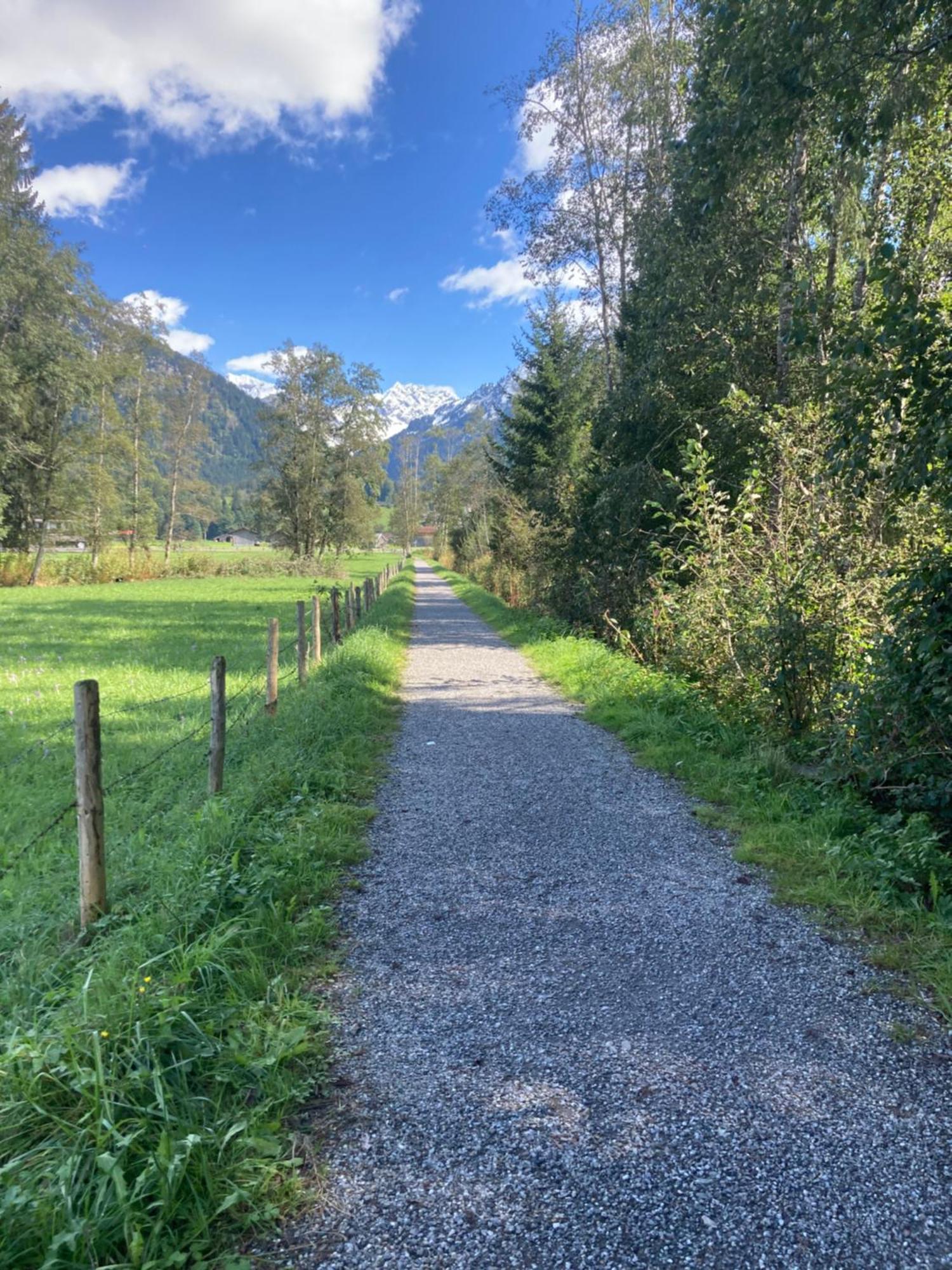 Eistaenzer Nest Oberstdorf