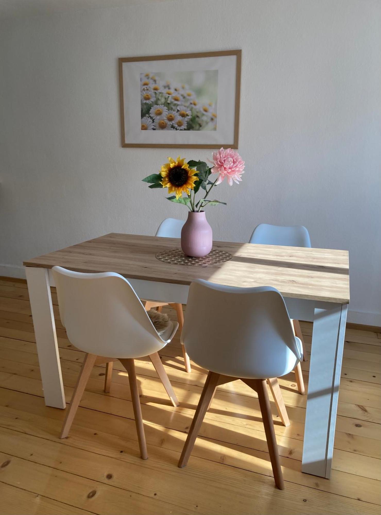 Eistaenzer Nest Apartment